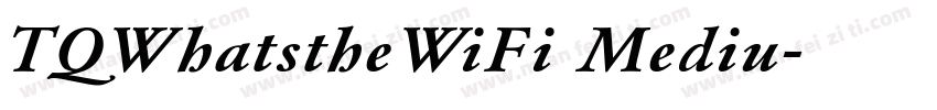 TQWhatstheWiFi Mediu字体转换